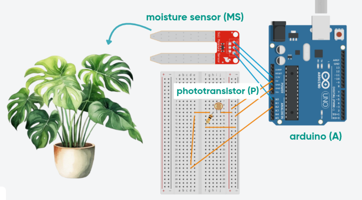 Arduino schematics with light and water sensors